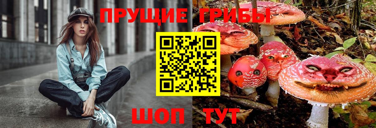 Галлюциногенные грибы MAGIC MUSHROOMS Королёв